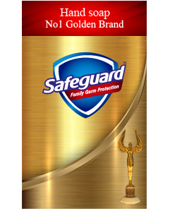 Safeguard