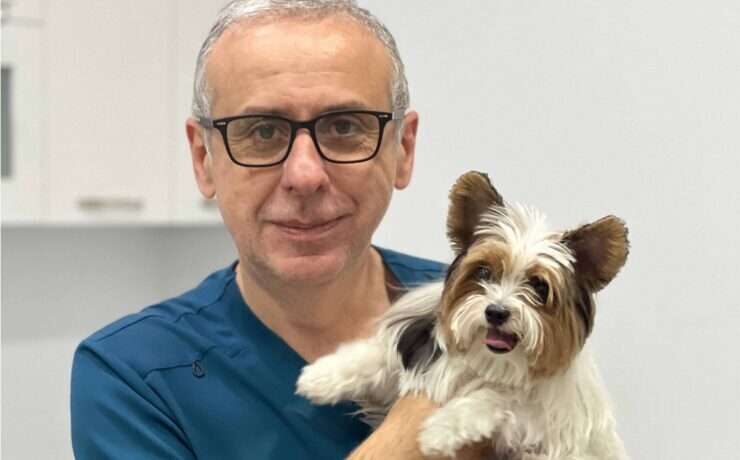 Aleksandre Kanashvili, Founder and Chief Veterinarian of Aibo Veterinary Clinic
